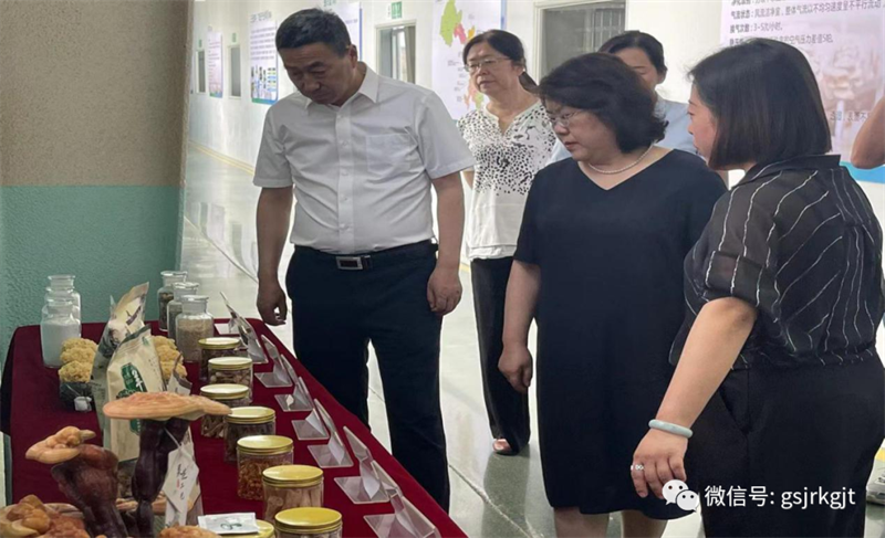 大兴调研 | 省金融监管局党组成员、副局长李虹在兰州新区调研金控担保支持企业 大兴调研 | 省金融监管局党组成员、副局长李虹在兰州新区调研金控担保支持企业