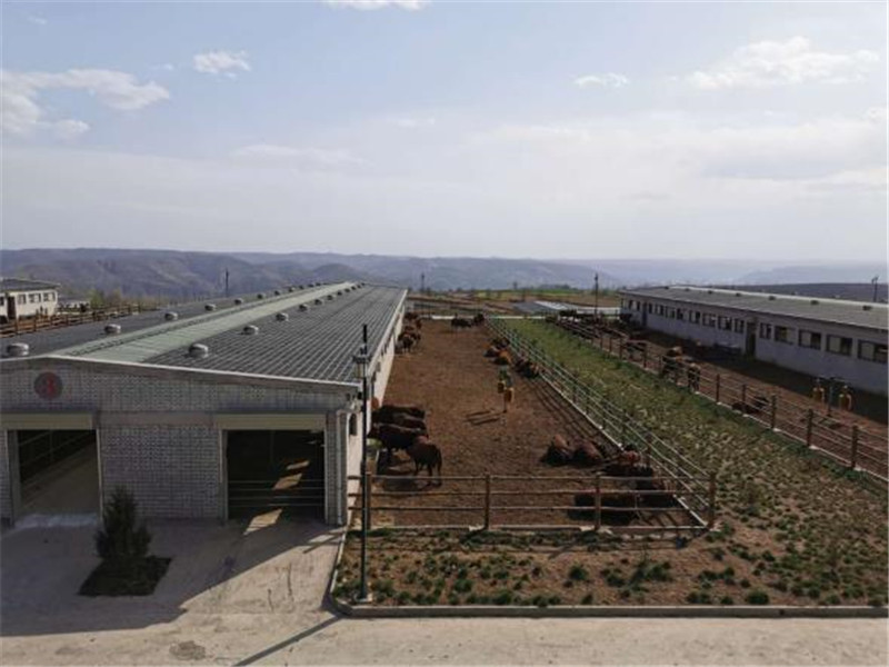 202004201587364165440215.jpg b7a95264-37d8-4c90-acfe-cbc6ba2ce8b1.jpg